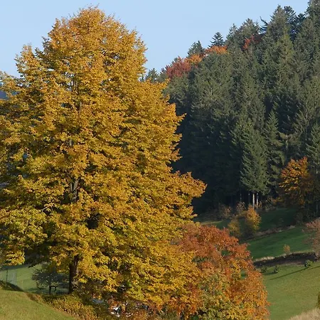 Schembachhof Apartman